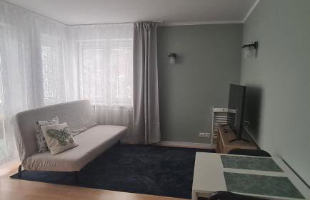 Apartament Leśny Ząbki - Foto 4