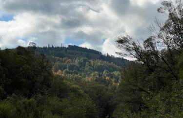 Domek nad Potokiem w Beskidach - Foto 25