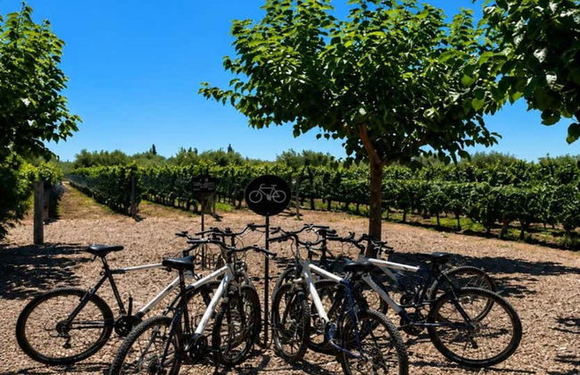 Alquiler de bicicleta en Maipú - Foto 10