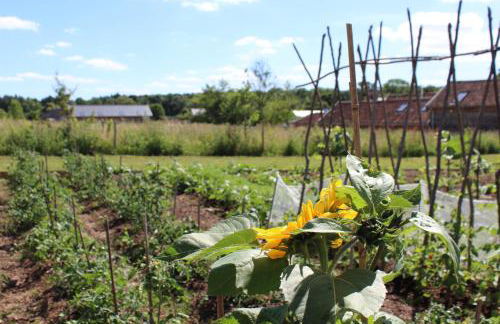 Retreat East - Foto 152