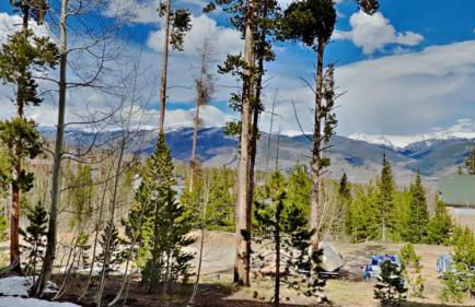 CC102 Buffalo Village - Foto 20