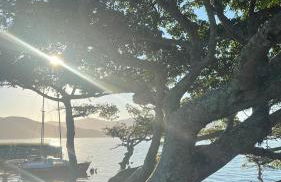 Apartamento aconchegante perto do mar - Photo 32