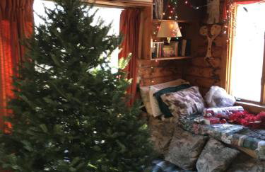 Bill's Place In Vermont - Foto 43