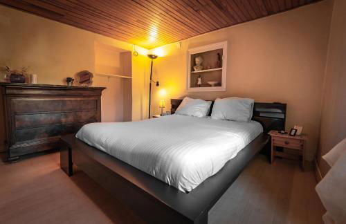 Charmante Maison dans les Gorges de la Sioule - Foto 20