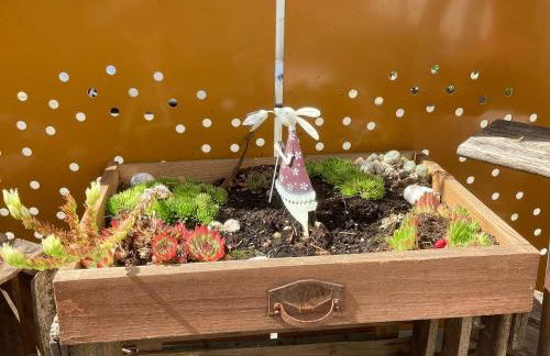 Ferienwohnungen Hubertus - Foto 8