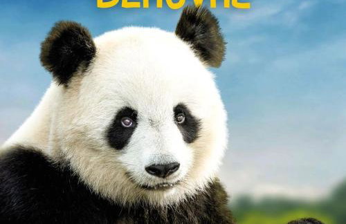 Gîte familial 12 pers. proche Valençay, ZooParc de Beauval et Châteaux de la Loire, parc arboré et jeux - FR-1-591-113 - Foto 34