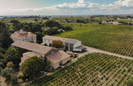 Charming House In An Organic Wine Estate - Foto 9