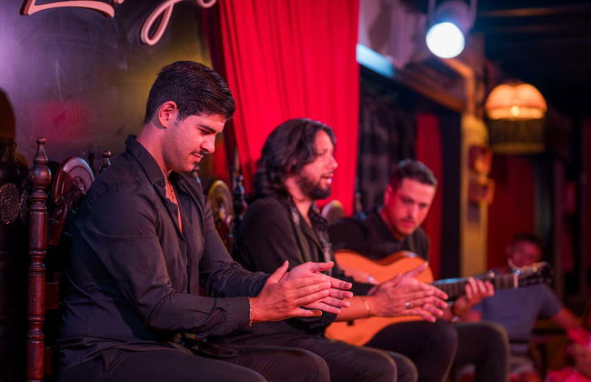 Jardines de Zoraya Flamenco Tablao - Photo 14