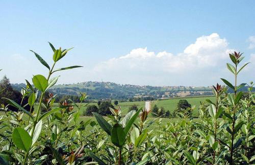 Nice Apartment in Piedmont - Foto 44