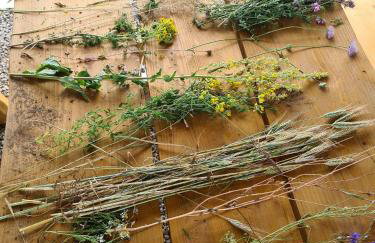 Cuda Wianki - Foto 15