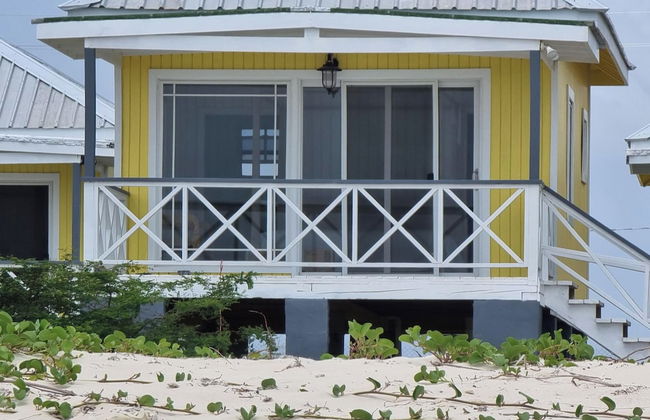 Harrys Cottages Cottage 5 Right on the Pink Sand - Foto 12