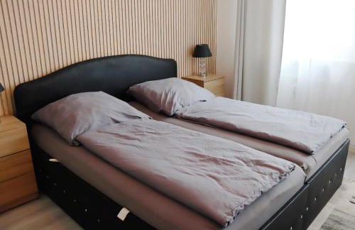 Familienfreundliche geräumige Design-Wohnung mit Balkon im Zentrum - APOLONIAliving - Foto 44