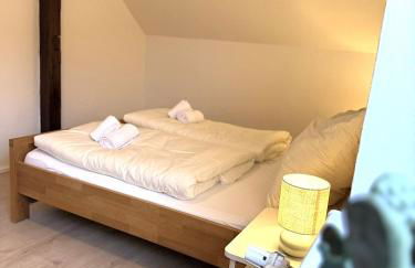 Natur-Apartment am Großen Arber Netflix WIFI - Foto 23