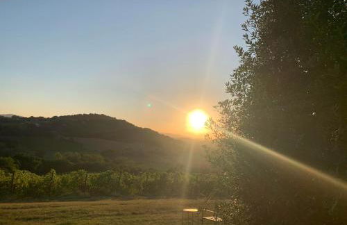 Agriturimo Cà Dorale - Foto 13