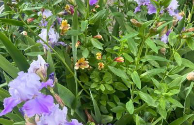 Maison des Sources Touraine -SPA- - Foto 41