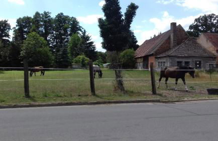 Ferienwohnung Wildau-Wentdorf - Photo 6