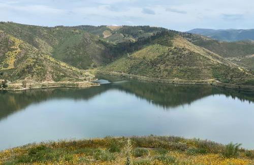 Casa do Beco B&B Douro - Guest House - Foto 71