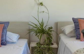 TERRA MAGICA DELUXE Apartment Or Room with Free Parking, Terrace and Sea View - Foto 43