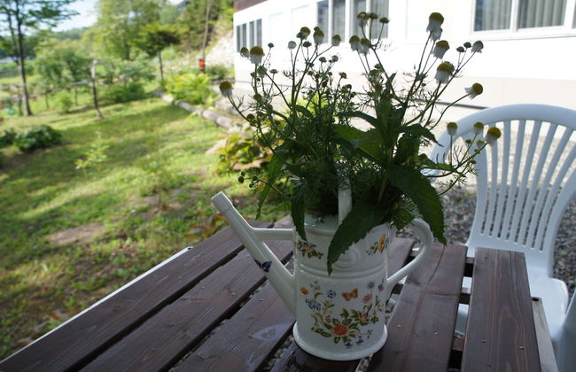 Phytoncide Morinokaori - Foto 26