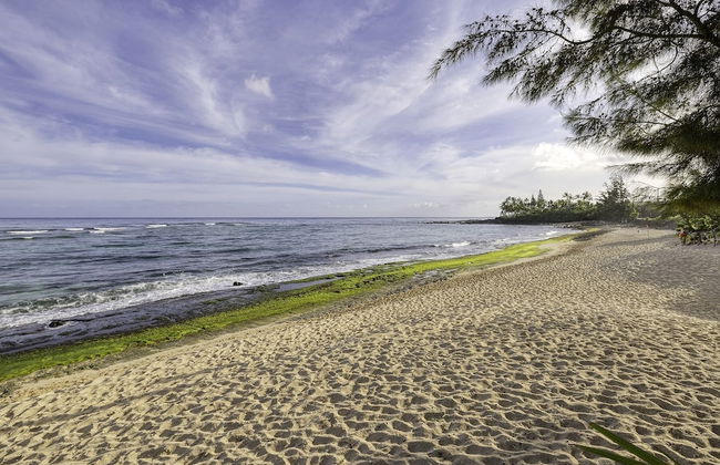 Sea Turtle Ranch 4 Bedroom Home by RedAwning - Foto 21