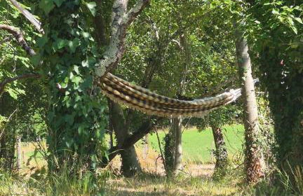 La rivière maison piscine emplacement idéal - Foto 11