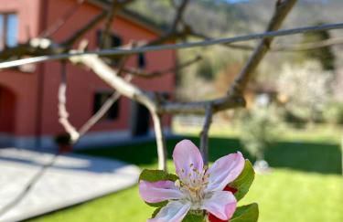 MARCO APARTMENTS di Locanda da Marco - Foto 40