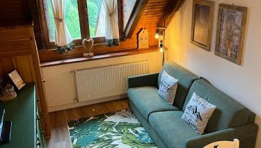 Mandi Mandi in pista - Foto 1