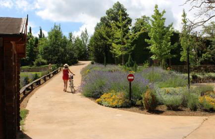 Molinos de Fuenteheridos - Foto 13