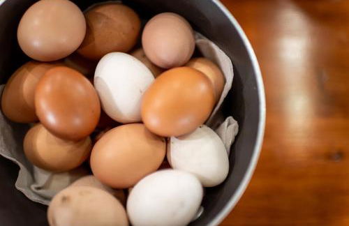 Twins Red Cabin Escape - Foto 18