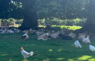 The Granary - Foto 21