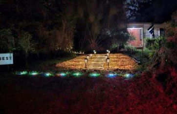 Jungle Oasis By Busch Gardens USF and Amphitheater - Foto 33