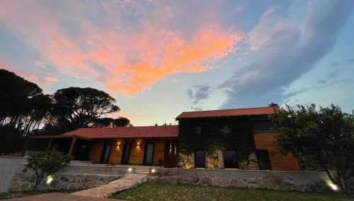 Casas do Pinheiro Grande - Foto 5