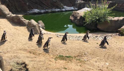 Barn-sleeps 4-parking-near Alton Towers/peak Dist - Foto 3