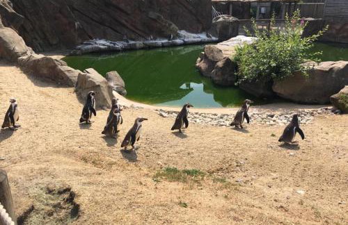 Barn-sleeps 4-parking-near Alton Towers/peak Dist - Foto 3