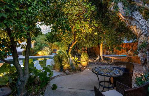 Palm Springs Eco Mid-century Urban Oasis Retreat - Foto 35