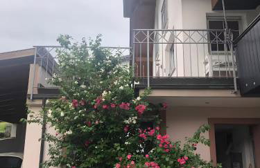 Schutterzeit - Photo 11