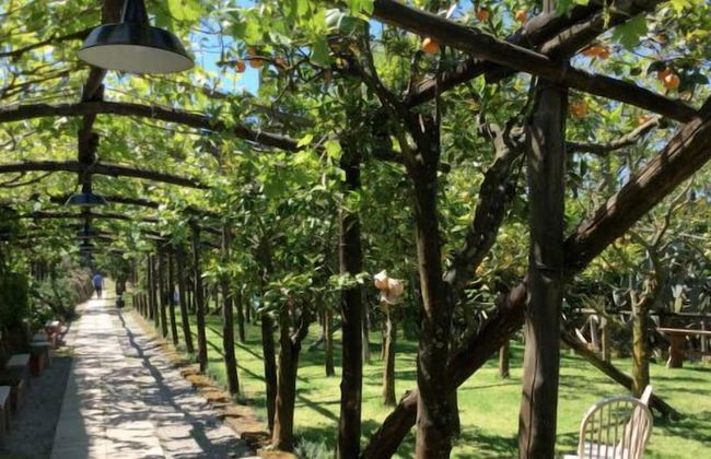 Podere don Peppe 1884 - Photo 24