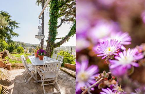 The Shelter - Foto 36