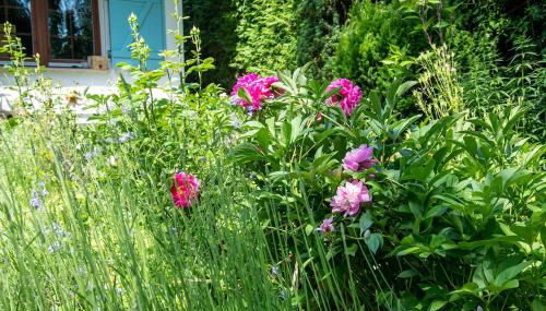 Idyllisches Apartment am Berliner Stadtrand - Foto 4