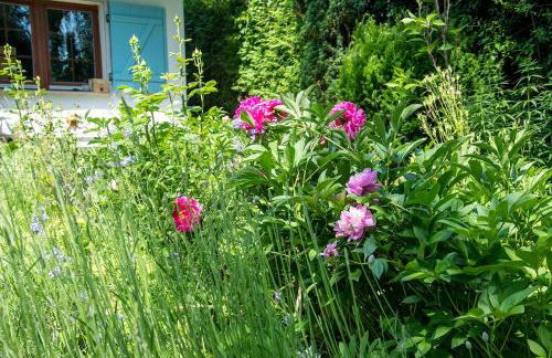 Idyllisches Apartment am Berliner Stadtrand - Foto 4