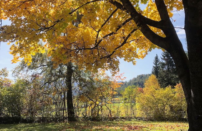 Chalet Luis - Foto 35