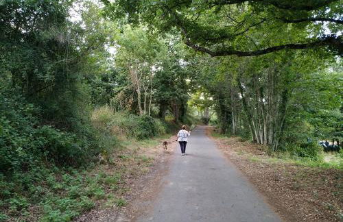 Casa dos ánxeles VUT-OR-1310 - Foto 72