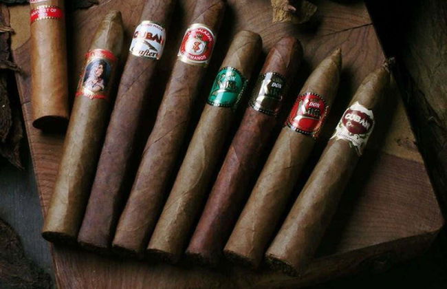 Excursão a La Romana e Altos de Chavón - Foto 7