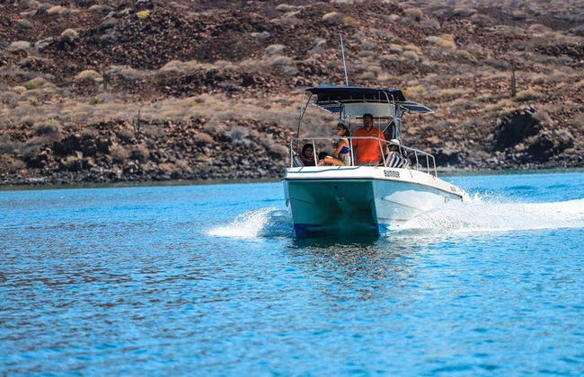 Excursion sur l'île Coronado - Photo 1