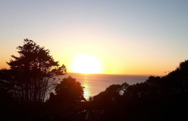 Hendre Coed Isaf - Photo 51