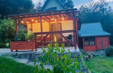 Pod Srebrzystym Świerkiem - Jacuzzi - Foto 2