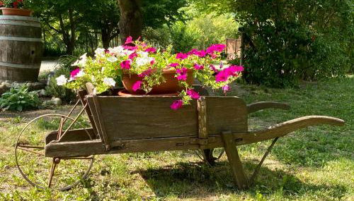 Locanda Del Molino Vecchio - Foto 3, Garden