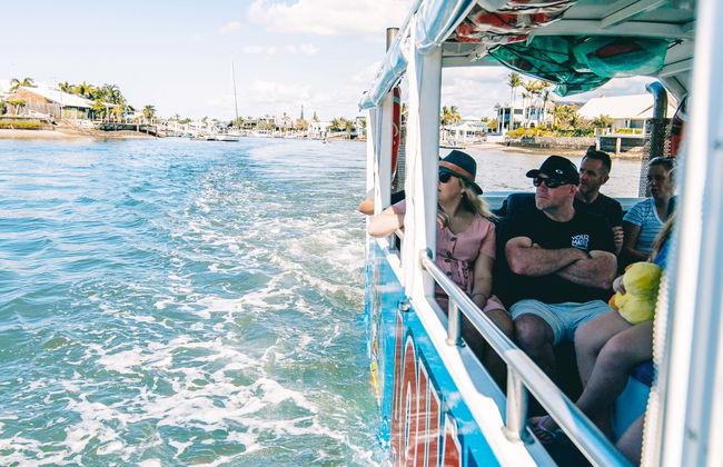 Tour en autobús anfibio por Sunshine Coast - Foto 1