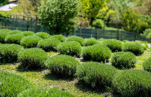 Villa Darabos - Foto 44