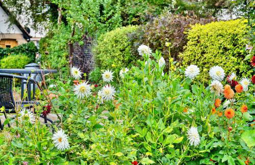 Finest Retreats - Clematis Cottage - Foto 6